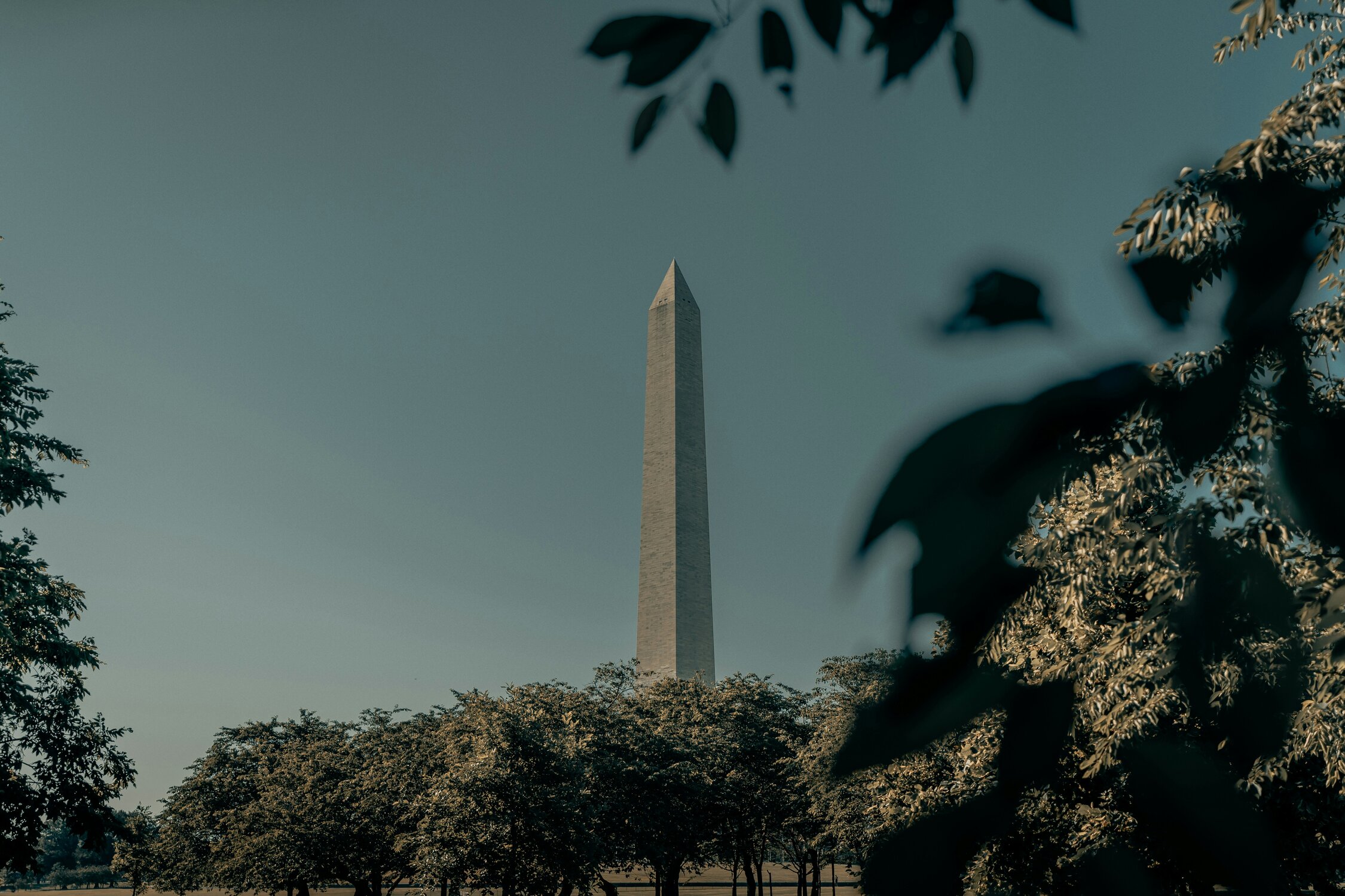 Therapy in Washington, DC